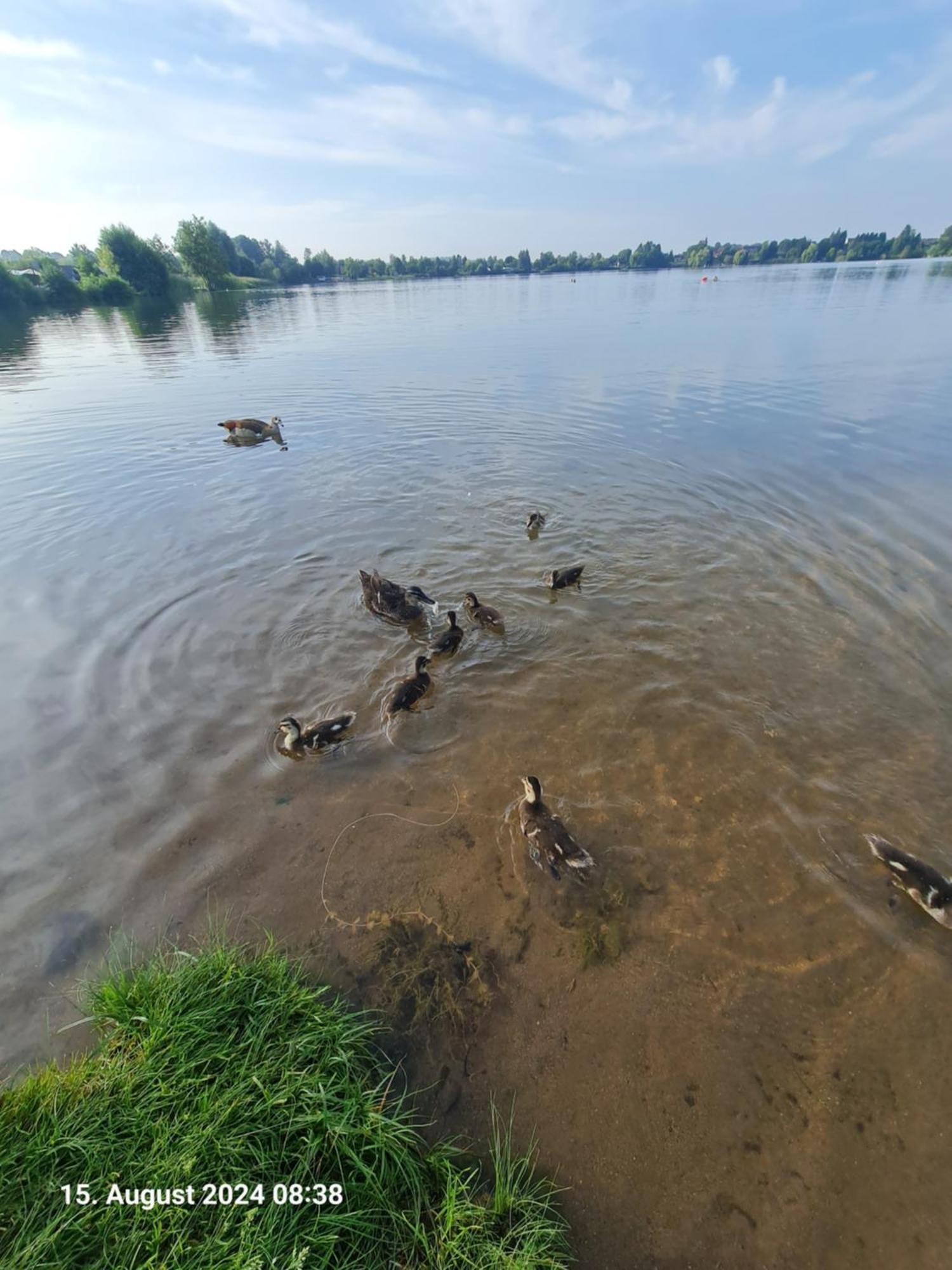Ferienhaus Am See-2 Hungen Kültér fotó
