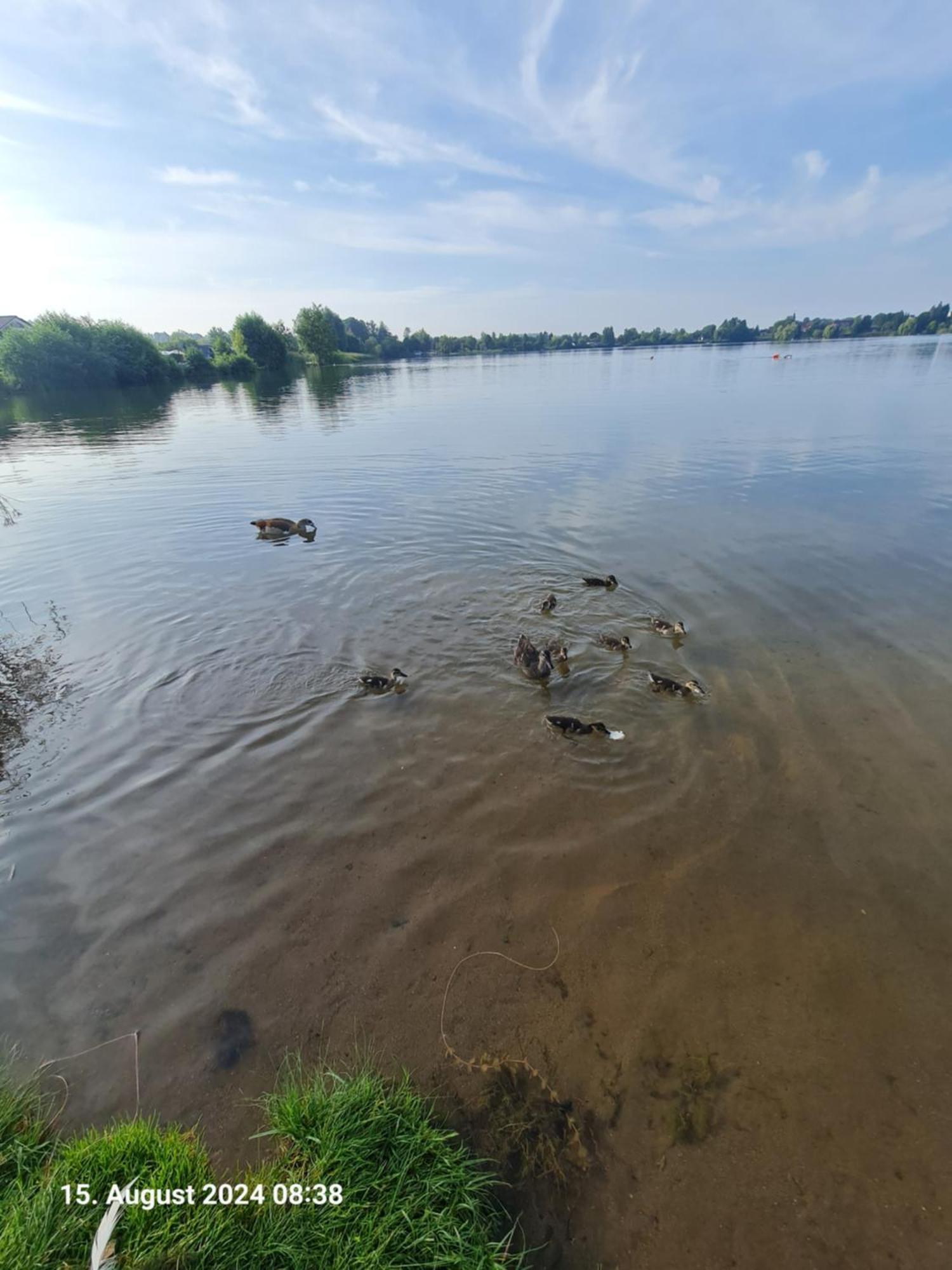 Ferienhaus Am See-2 Hungen Kültér fotó