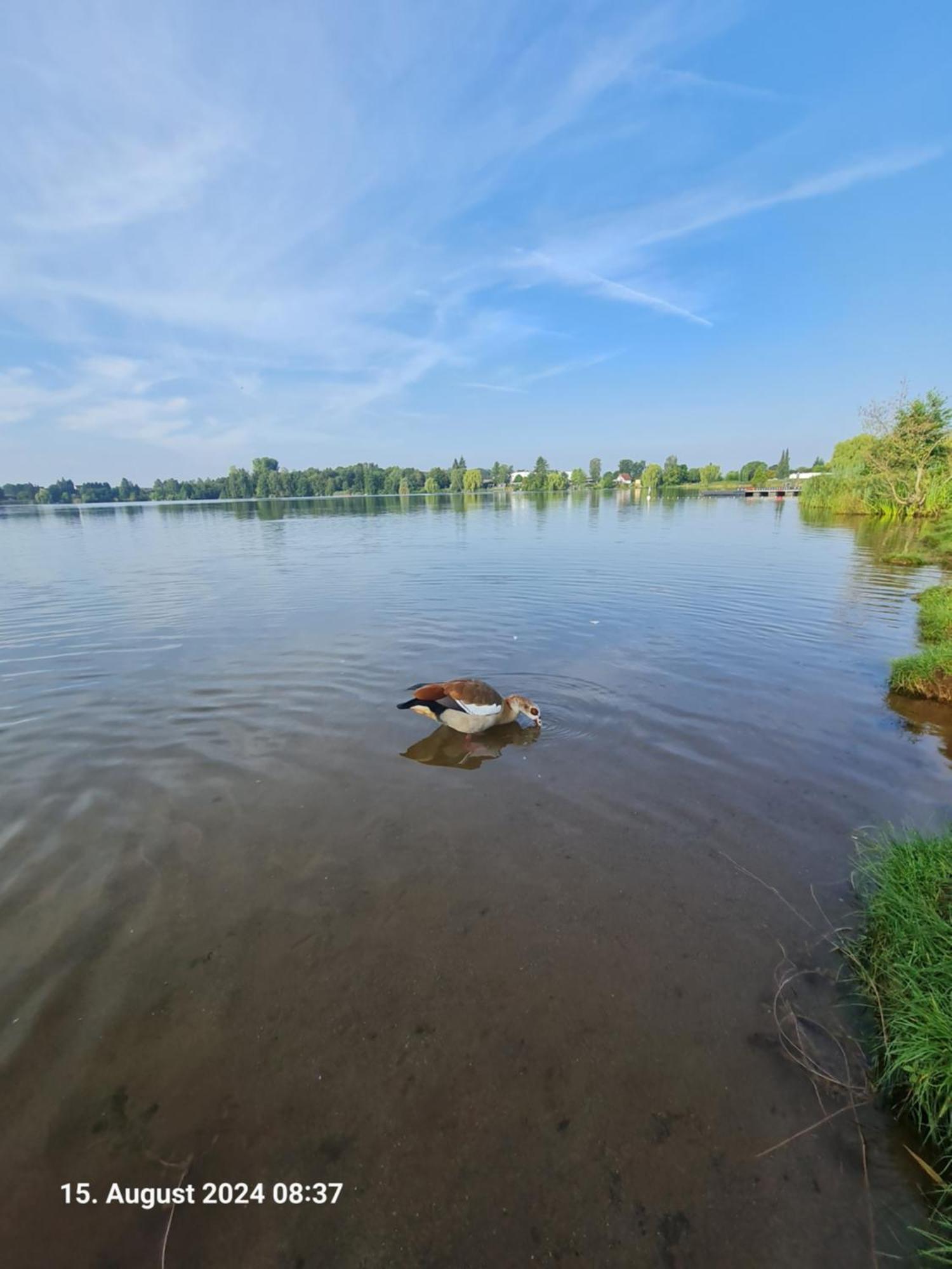 Ferienhaus Am See-2 Hungen Kültér fotó
